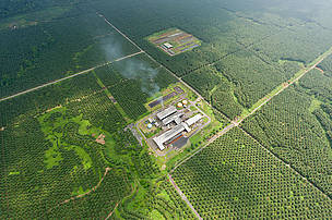 Aerial of palm oil plantation with milling factory, Kimbe Bay, Papua New Guinea / ©: Jürgen Freund / WWF-Canon / ©: Jürgen Freund / WWF-Canon