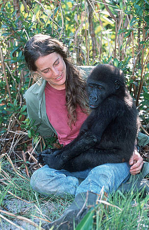 Western Lowland Gorilla. Mpassa project manager Liz Pearson with orphaned gorillas reintroduced ... / ©: WWF-Canon / Martin HARVEY Western Lowland Gorilla. Mpassa project manager Liz Pearson with orphaned gorillas reintroduced ... / ©: WWF-Canon / Martin HARVEY