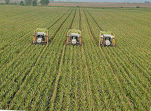 Agriculture is the most damning area of the country’s environmental failures / ©: AFP / ©: AFP