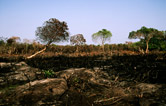  / &copy;: WWF-Canon / Sandra MBANEFO OBIAGO