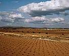 L'OMC devrait réformer les tarifs agricoles, selon le WWF.