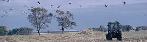 Sustainable agriculture / ©: WWF-Canon / Hartmut JUNGIUS Sustainable agriculture rel=