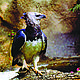 &copy; WWF Paraguay