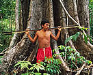 The Yanomami people of Roraima Province in Brazil are losing their homes as the Amazon forests disappear.<BR>