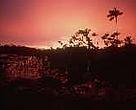 Dark days ahead for the Amazon Forest?