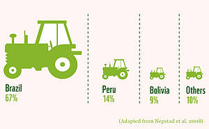 Brasil tiene la mayor parte del área de cultivo de la Amazonía seguido de Perú y Bolivia. / ©: WWF / ©: WWF