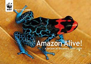 Ranitomeya benedicta, new poison frog species / ©: Evan Twomey / ©: Evan Twomey