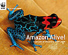 Amazon Alive! A decade of discovery 1999-2009