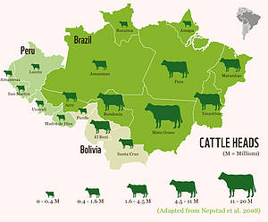 Número de cabezas de ganado en los estados de la Amazonía brasileña y en los departamentos de la ... / ©: WWF ( adaptado de Nepstad, 2008) / ©: WWF ( adaptado de Nepstad, 2008)