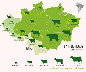 Number of heads of cattle in the states of the Brazilian Amazon and the departments of the
Bolivian ... / ©: WWF (Adapted from Nepstad, 2008) / ©: WWF (Adapted from Nepstad, 2008)