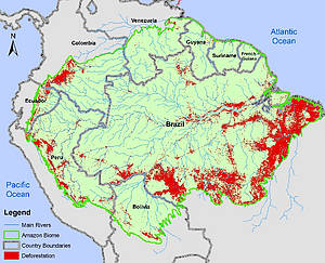 Deforestación en el bioma amazónico en base a datos del 2009 en Brasil y 2007 - 2008 en otros ... / ©: WWF / ©: WWF