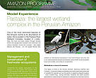 Pastaza: the largest wetland complex in the Peruvian Amazon