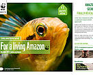 Cover Living Amazon Initiative Newsletter -  7