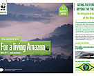 Living Amazon Initiative Newsletter - 8