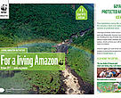 Living Amazon Iniative Newsletter - 9