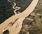 Deforestation along the Rio Branco River in Brazil's Amazon.