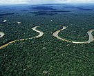 Rio Pinquen, Parque Nacional del Manu, selva tropical amazónica, Perú
