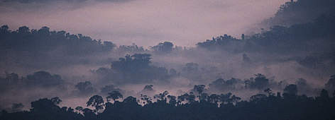 Dawn at the Amazon, as seen from the nearby Andes in Peru / ©: Kjeld Nielsen rel=