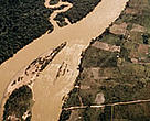 Deforestation along the Rio Branco River in Brazil's Amazon.