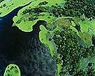 Satellite view of the Amazon.