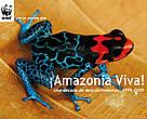 ¡Amazonia Viva! Una década de descubrimientos: 1999-2009