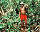 Villager with Cipo collected from forest for hand brushes, Jau National Park, Amazonas, Brazil.