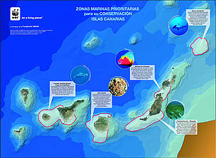 This map identifies areas around the Canary Islands that WWF-Spain is seeking to protect. / ©: WWF-Spain This map identifies areas around the Canary Islands that WWF-Spain is seeking to protect. / ©: WWF-Spain