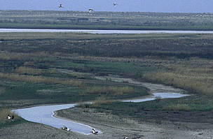 Most water from the Amu Darya River – Central Asia's longest river – is used for irrigation of ... / ©: Hartmut Jungius / WWF-Canon / ©: Hartmut Jungius / WWF-Canon