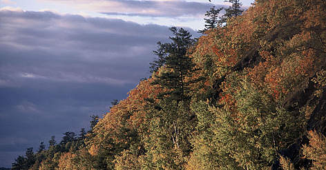 Mandchurian temperate broadleaf (or deciduous) forest, Sikhote Alin mountains. Amur tiger habitat. ... / ©: Hartmus Jungius / WWF-Canon rel=