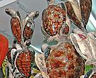Whole, stuffed marine turtles for sale in An Dong Market in Ho Chi Minh City
