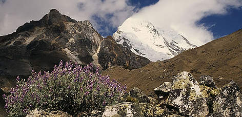 Andes Mountains, Peru. / ©: WWF-Canon / Kevin SCHAFER Andes Mountains, Peru. rel=