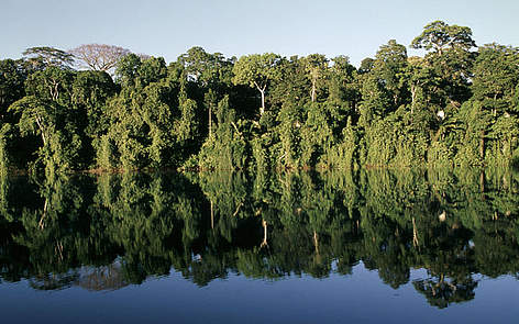 Amazon rainforest reflected on a bow lake / ©: Andre Bartschi / WWF / CANON rel=