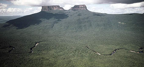 Canaima National Park, Venezuela. / ©: WWF-Canon / Bruno PAMBOUR Canaima National Park, Venezuela. rel=