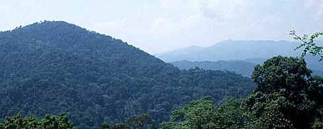 Annamites panorama. / &copy;: WWF-Canon / Barney Long