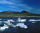 The latest attempt to open the Arctic National Wildlife Refuge to oil drilling has failed.