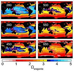 Aragonite - showing areas suitable for coral reef formation relative to atmospheric CO2 ... / ©: WWF / Ove Hoegh-Guldberg / ©: WWF / Ove Hoegh-Guldberg