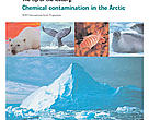 The tip of the iceberg: Chemical contamination in the Arctic