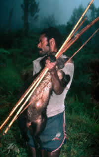 Hatam people are unrestricted for traditional hunting with bow and arrow. This man has caught a ... / ©: WWF-Canon / Ian CRAVEN / ©: WWF-Canon / Ian CRAVEN