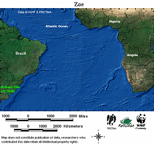Map locator for this leatherback. Click to view an enlarged animated version. The latest positional ... / ©: WWF-CCC Animated map for Zoe. / ©: WWF-CCC
