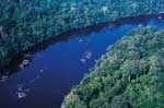 Aerial view of the Jari river running through the Amazon forest in the Tumucumaque mountain chain ... / ©: Kitt Nascimento/WWF Brazil / ©: Kitt Nascimento/WWF Brazil