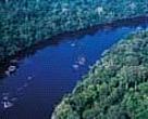 Aerial view of the Jari river running through the Amazon forest in the Tumucumaque mountain chain (ARPA Programme).