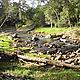 &copy; Fernando Allen for WWF Paraguay
