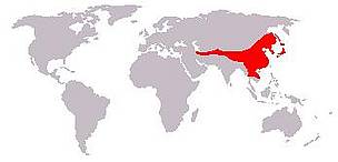 Asiatic black bear range. Areas of local extirpation have been caused by illegal hunting and ... / ©: Wikimedia Commons / ©: Wikimedia Commons