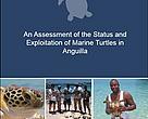An Assessment of the Status and Exploitation of Marine Turtles in Anguilla