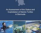 Assessment Status and Exploitation of Marine Turtles in Bermuda