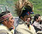 Pehuenche of the Andes in Chile receive title to their land, long defended from logging interests