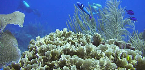  / &copy;: WWF / Melanie MCFIELD