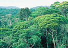  / &copy;: WWF-Canon / Edward Parker