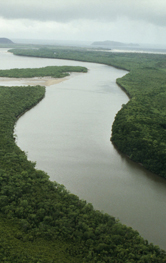  / &copy;: WWF-Caon / James W. THORSELL