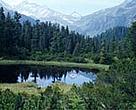 WWF-Austria has worked over the past year to save Austria's alpine wilderness.